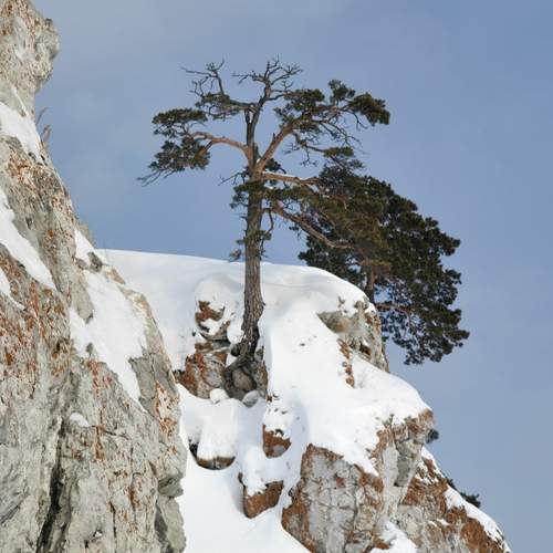 Photo #13657926