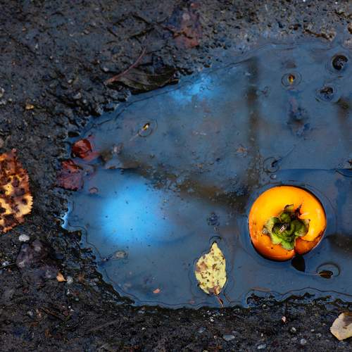 \"The sun\" in the mud