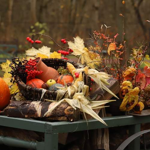 Photo #13658117