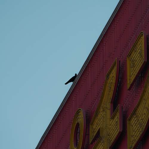 Photo #13658125