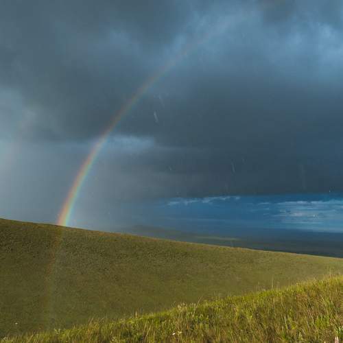 Photo #13658147