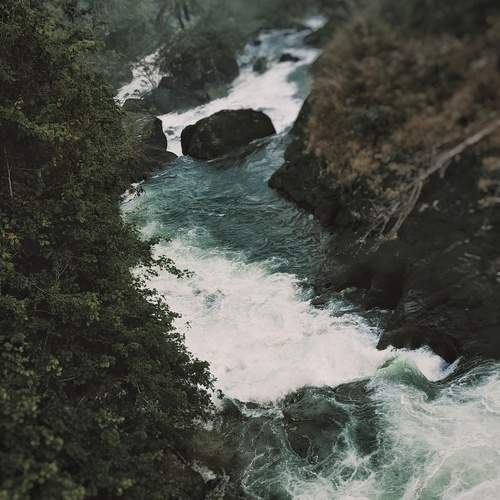 Photo #13658150