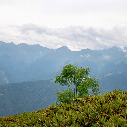 Photo #13658153