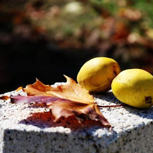 Photo #13658211