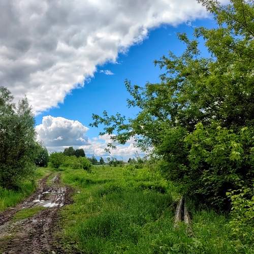 Photo #13658349