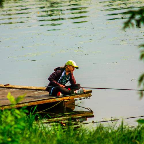 Photo #13658352