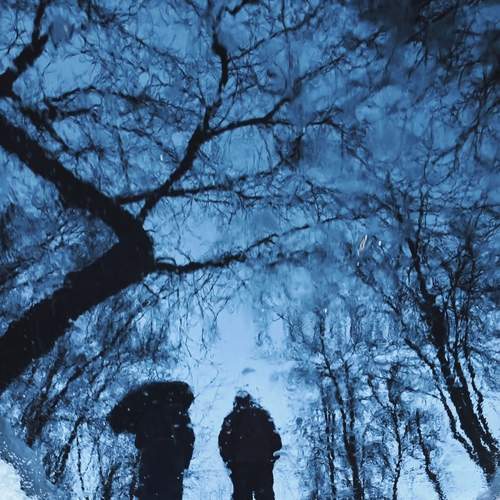 Photo #13658356