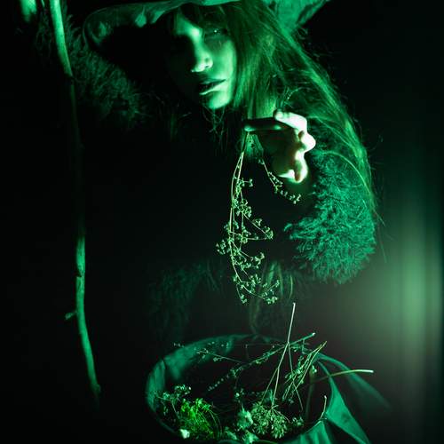 Photo #13658380