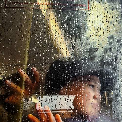 Photo #13658389