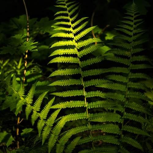 Photo #13658396