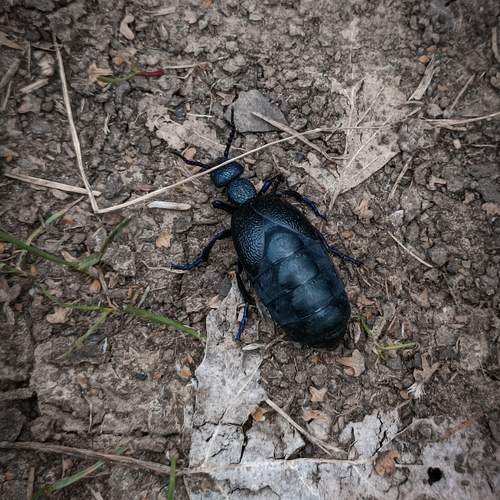 Photo #13658440
