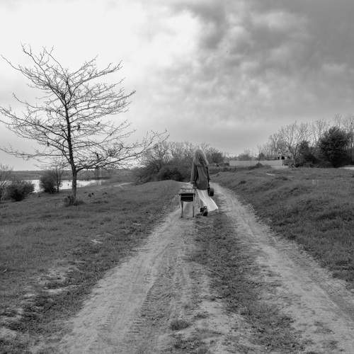 Photo #13658456