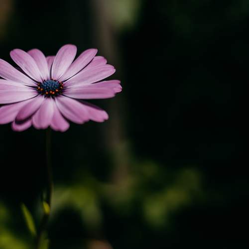 Photo #13658481