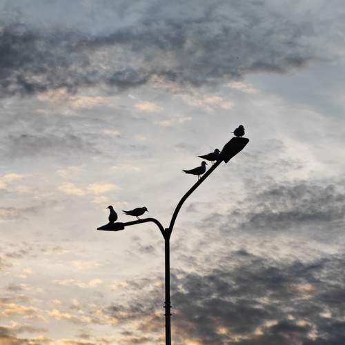 Photo #13658503