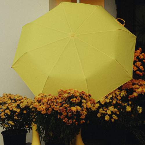Photo #13658611