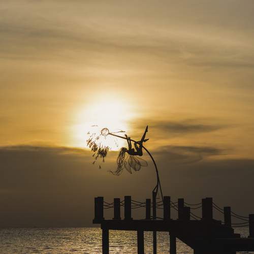 Photo #13658621