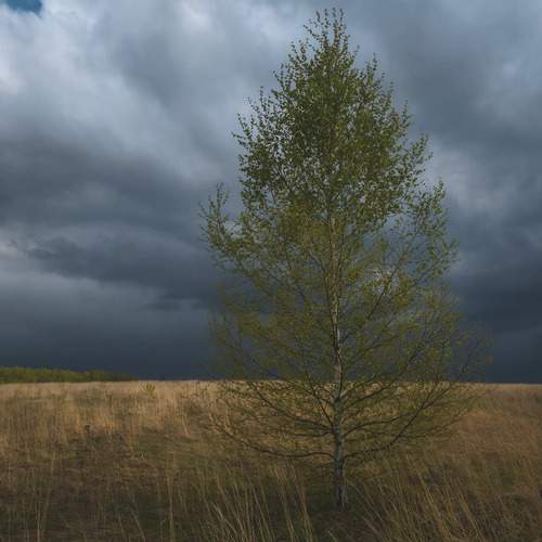 Photo #13658650