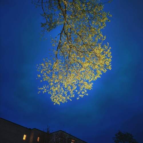 Photo #13658669