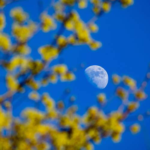 Photo #13658701