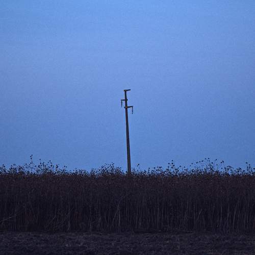 Photo #13658802