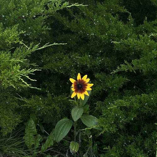 Photo #13658839