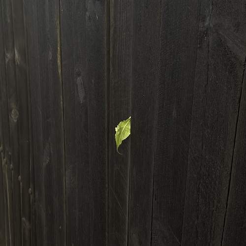 Photo #13658840