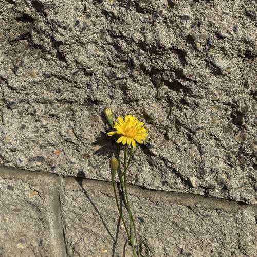 Photo #13658841