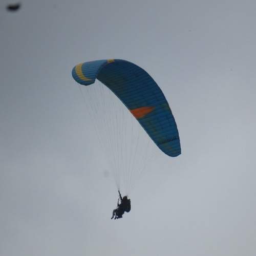 Photo #13658869