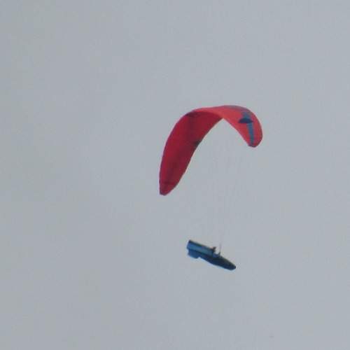 Photo #13658872