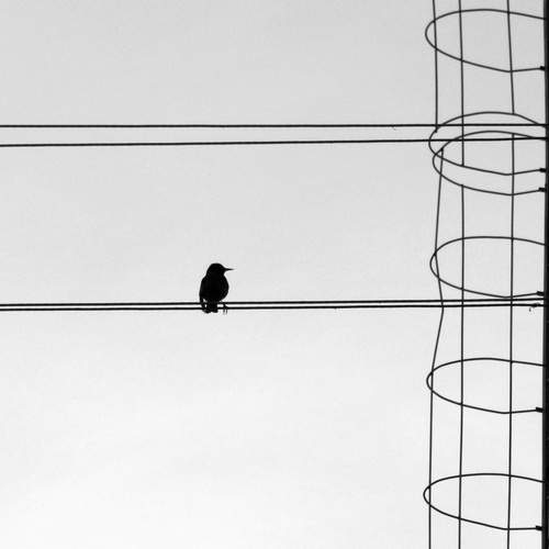 Photo #13658894
