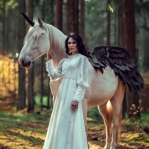 Фотография #13659157