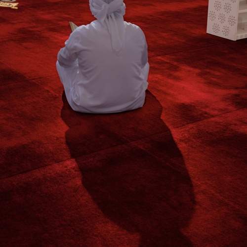 Photo #13659176