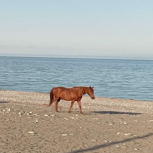 Photo #13659341