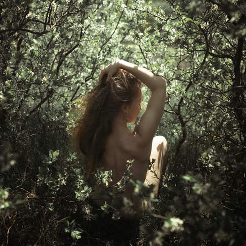 Photo #13659343
