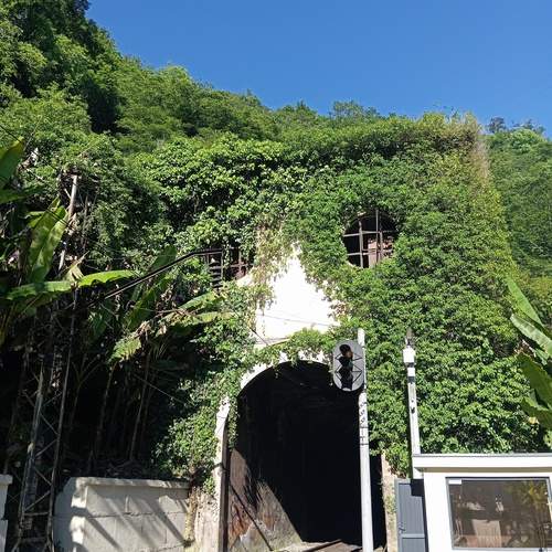Photo #13659347