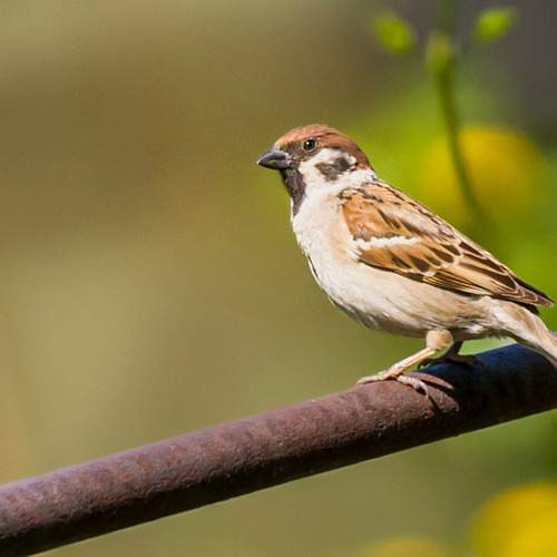 Photo #13659447
