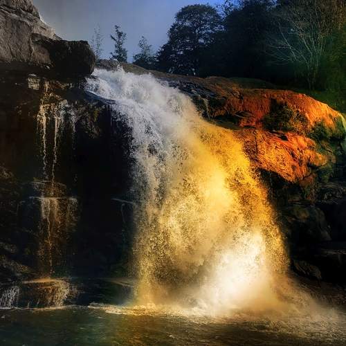 Photo #13659479