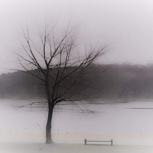Photo #13659619