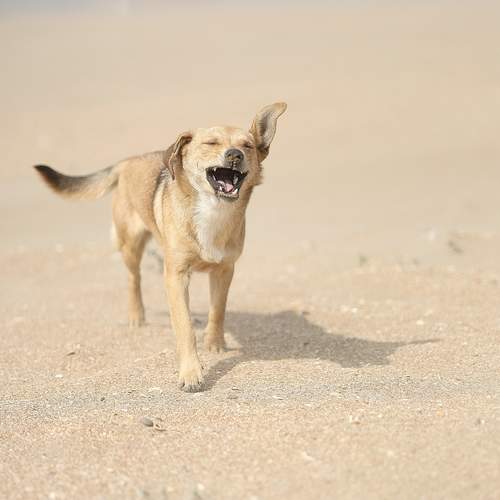 Photo #13659653