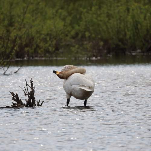 Photo #13659672