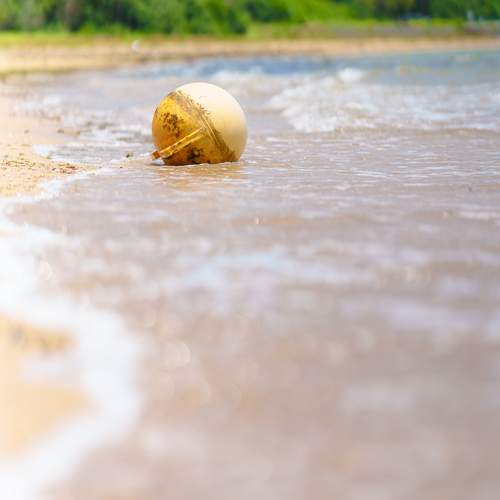 Photo #13659711