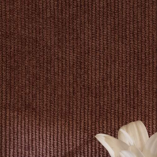 Photo #13659720