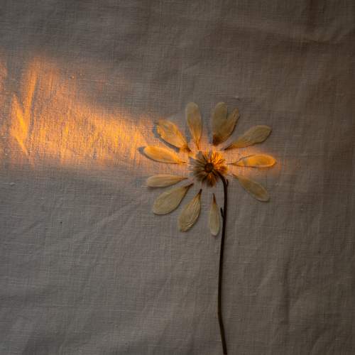 Photo #13659726