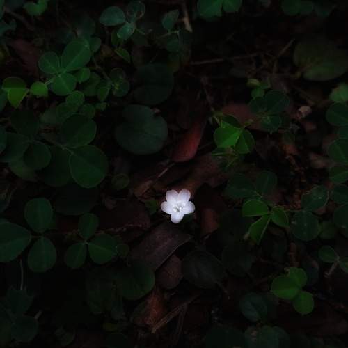 Photo #13659753