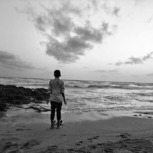 Photo #13659757