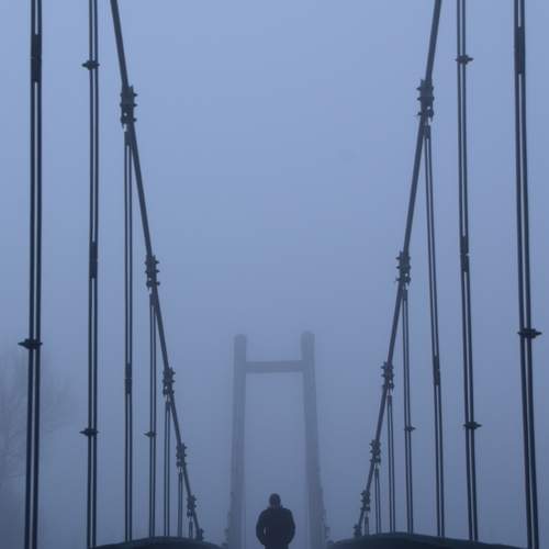 Photo #13659794