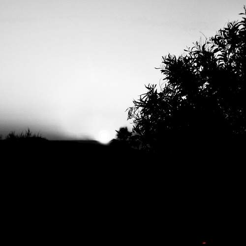 Photo #13659861