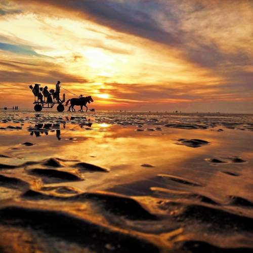 Photo #13659947