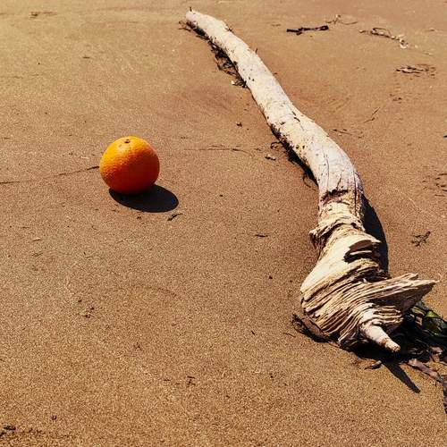 Photo #13659959