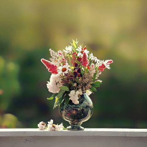 Photo #13660022